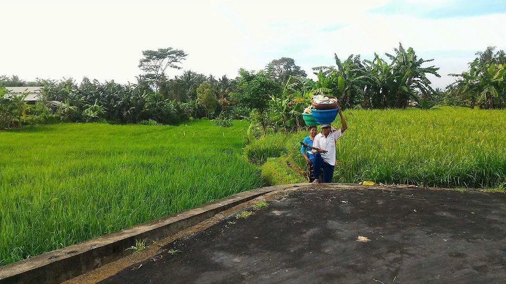 Villa Tirta Indah Tegallalang   Tegallalang (Bali)