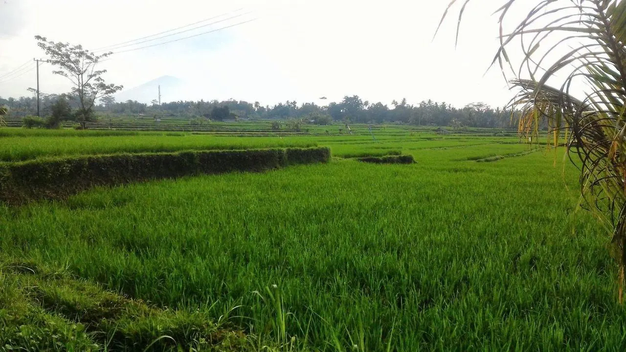 Villa Tirta Indah Tegallalang  0*, Tegallalang (Bali) Indonesia